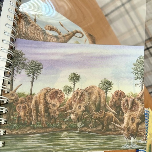 Time for Learning Dinosaurs book for Dino lovers great for beginners - Picture 5 of 10